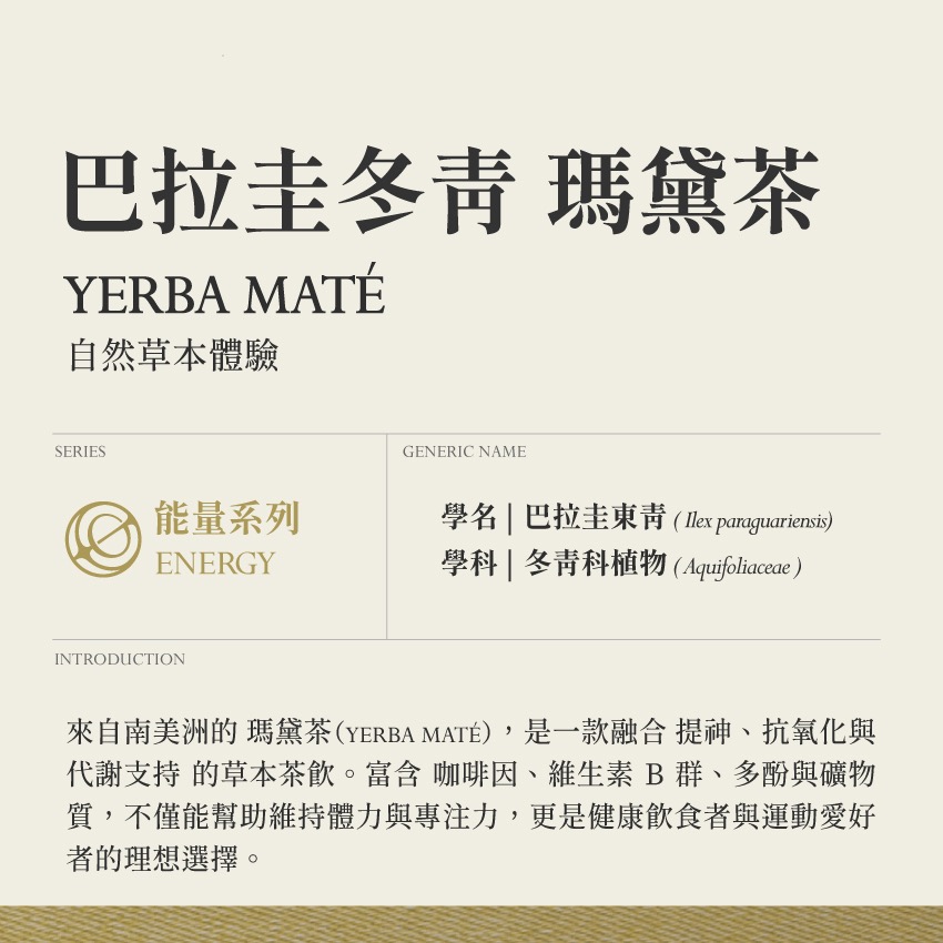 巴拉圭冬青 瑪黛茶 10g｜Yerba Maté Ilex Paraguariensis 乾燥 花 草 茶 原料｜本草-細節圖2