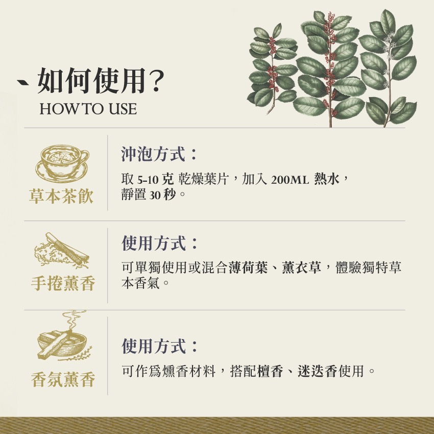 巴拉圭冬青 瑪黛茶 10g｜Yerba Maté Ilex Paraguariensis 乾燥 花 草 茶 原料｜本草-細節圖4