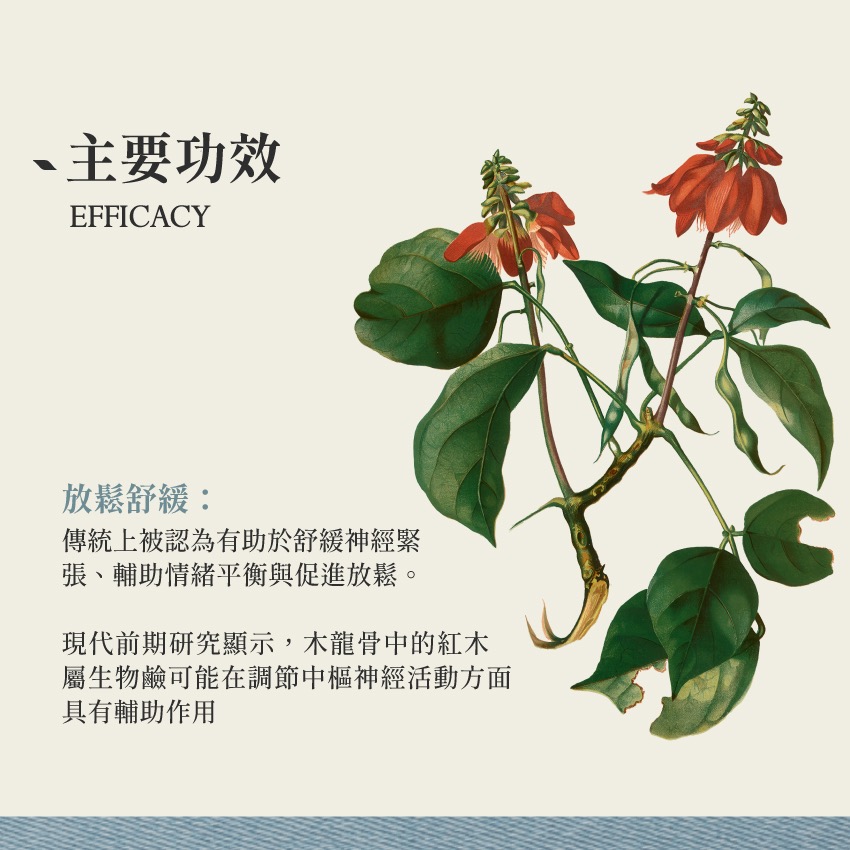 木龍骨 10g｜Mulungu Erythrina mulungu 乾燥 花 草 茶 原料｜本草・草本實驗室-細節圖3