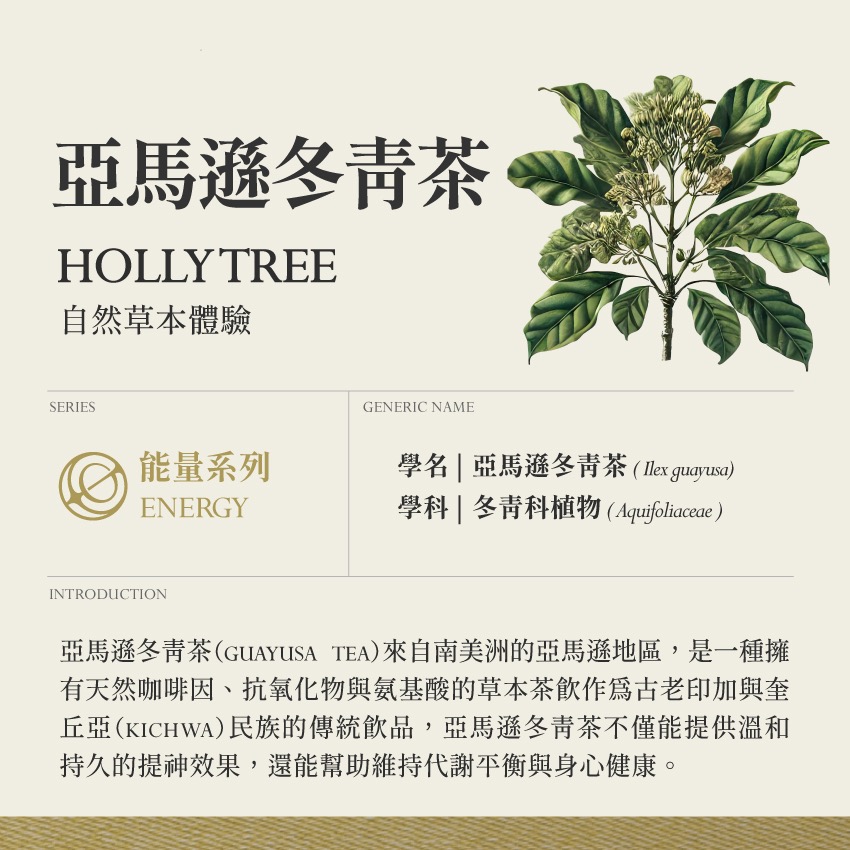 亞馬遜冬青茶 10g｜Holly treeIlex guayusa 乾燥 花 草 茶 原料｜本草・草本實驗室-細節圖2