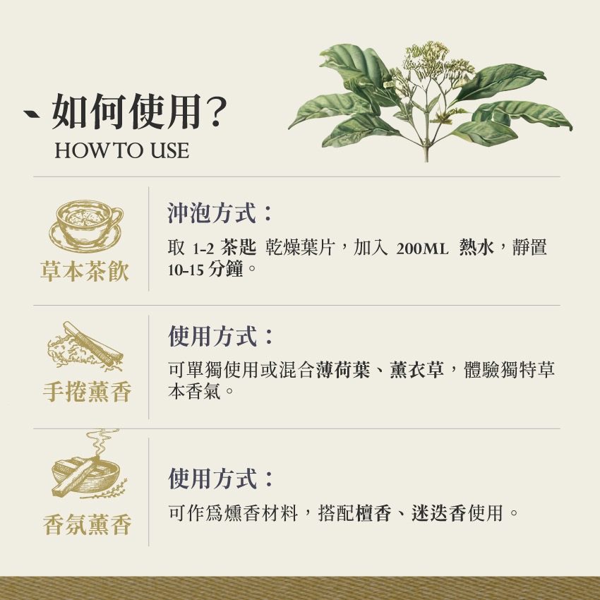 亞馬遜冬青茶 10g｜Holly treeIlex guayusa 乾燥 花 草 茶 原料｜本草・草本實驗室-細節圖4