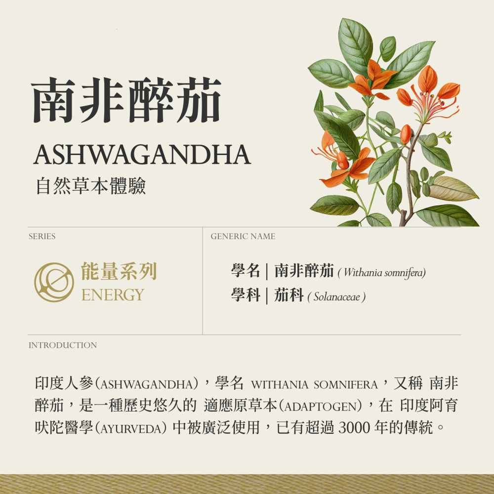 南非醉茄 印度人參 10g｜Raspberry Rubus Idaeus 乾燥 花 草 茶 原料｜本草-細節圖2