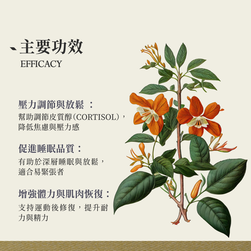 南非醉茄 印度人參 10g｜Raspberry Rubus Idaeus 乾燥 花 草 茶 原料｜本草-細節圖3