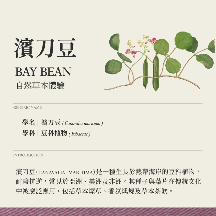 滋補複方 茶 愛之泉水 10g｜乾燥 花 草 茶 原料｜本草・草本實驗室-細節圖2