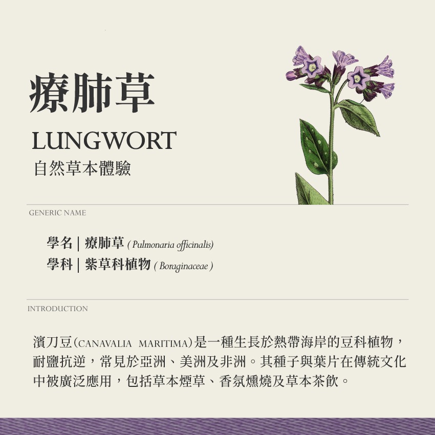 靜謐複方 茶 夢鄉靜謐 10g｜乾燥 花 草 茶 原料｜本草・草本實驗室-細節圖3