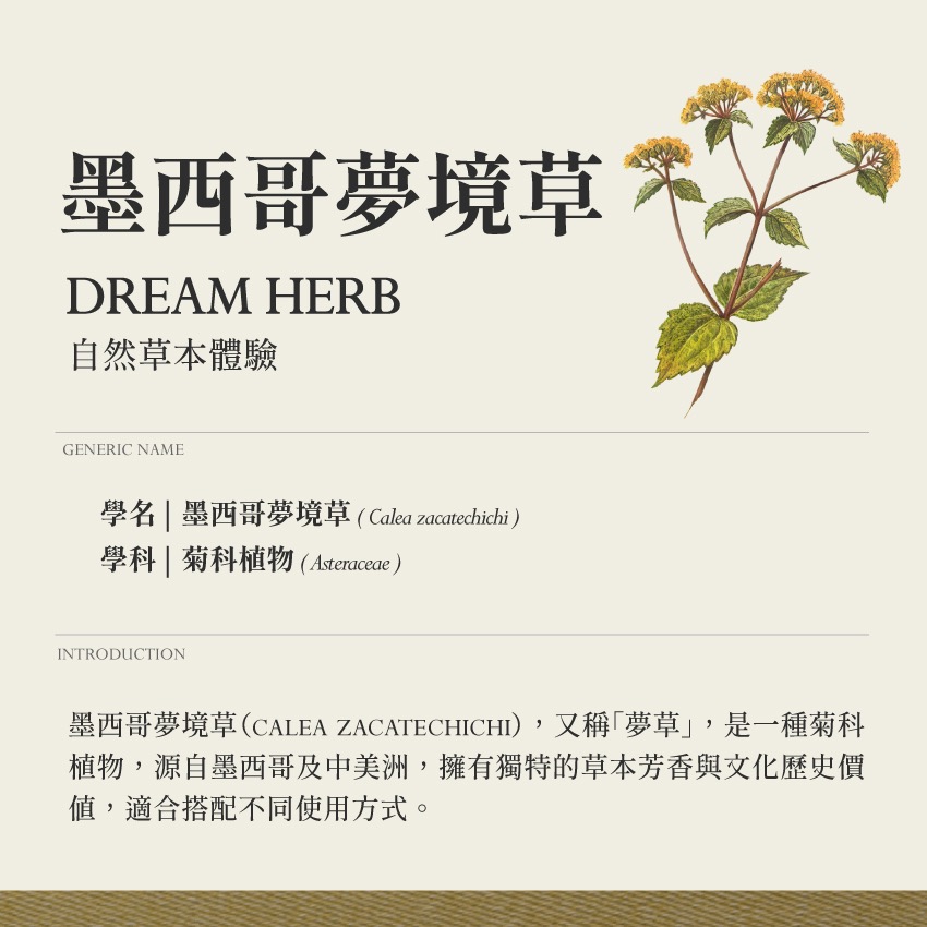 能量複方 霧 活力泉源 10g｜乾燥 花 草 茶 原料｜本草・草本實驗室-細節圖4