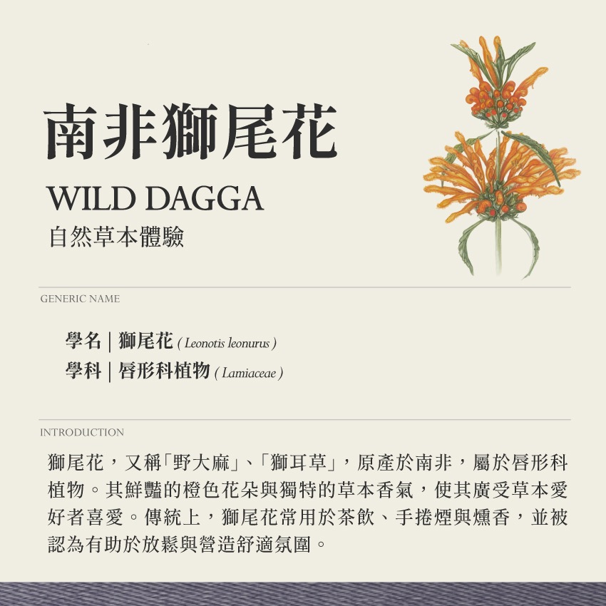 啟心複方 茶 靈魂覺醒 10g｜乾燥 花 草 茶 原料｜本草・草本實驗室-細節圖2