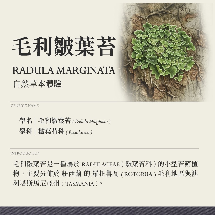 啟心複方 茶 靈魂覺醒 10g｜乾燥 花 草 茶 原料｜本草・草本實驗室-細節圖4