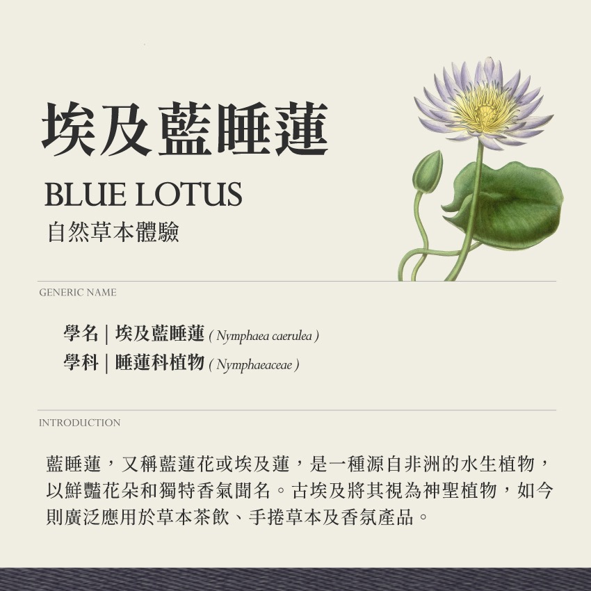 啟心複方 茶 靈魂覺醒 10g｜乾燥 花 草 茶 原料｜本草・草本實驗室-細節圖5