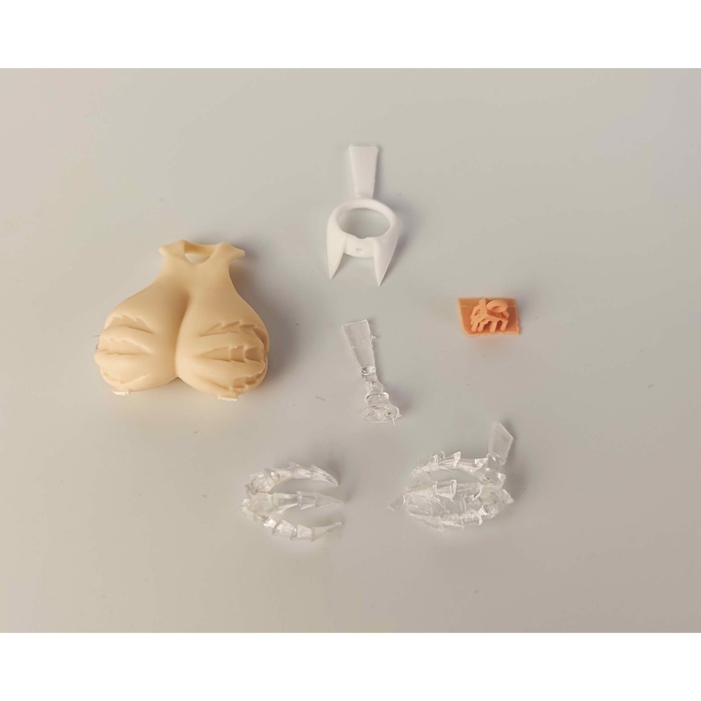 新品現貨-2025XP肉改-細節圖2