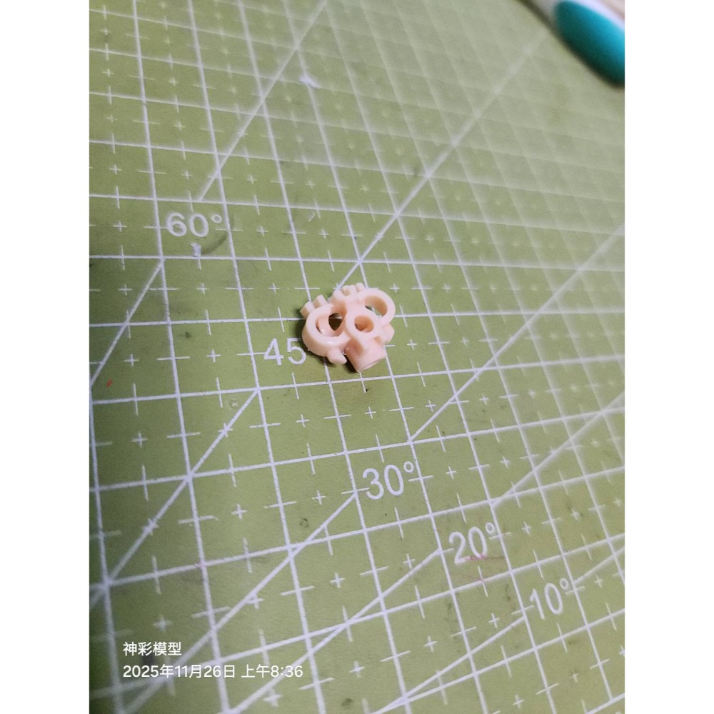 BUSTER DOLL胸腔內構零件