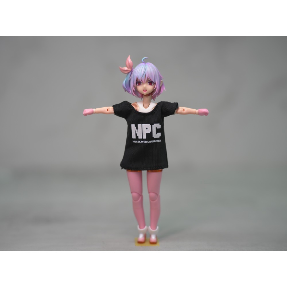 06NPC