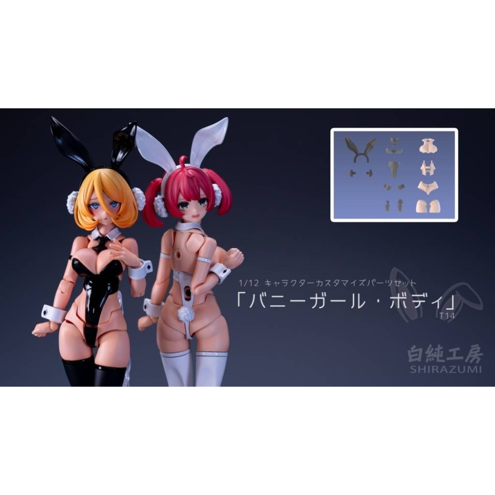 [現貨] 2026白純新品-規格圖3