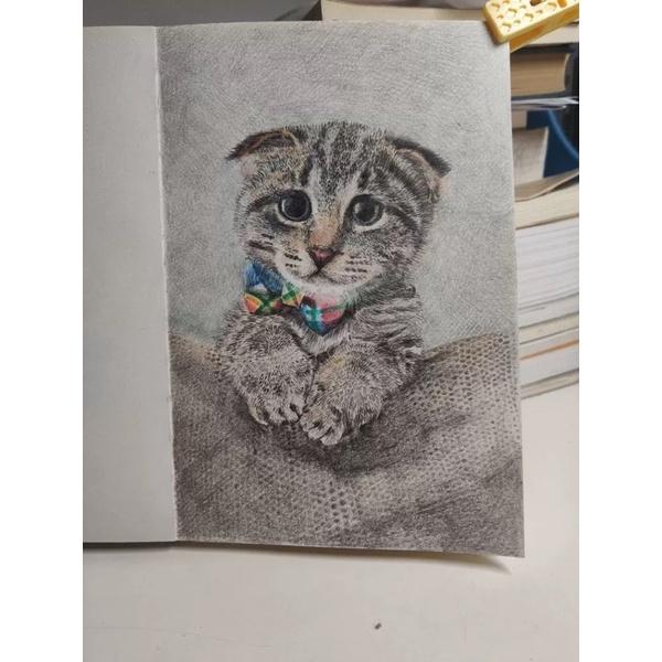 台灣極速出貨【油性彩色鉛筆】彩色鉛筆 油性 水性 六角色鉛筆 色鉛筆 彩鉛 油性彩筆 水性彩筆 筆 美術 彩色筆-細節圖7