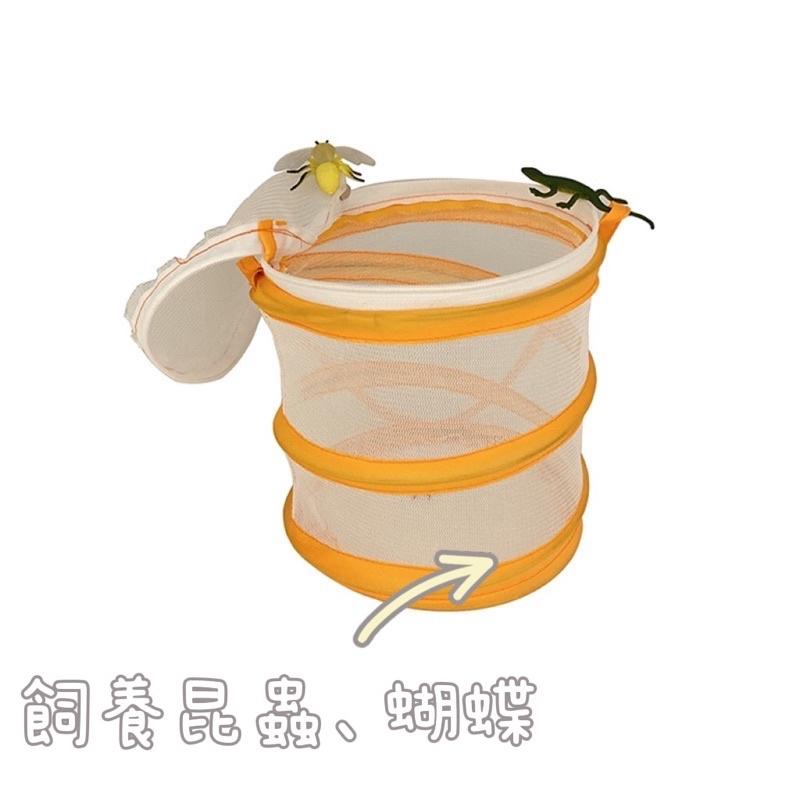 台灣極速出貨【昆蟲摺叠籠 】昆蟲探索玩具系列 捕魚籠 蝴蝶籠 蝦籠 戶外探險 昆蟲觀察 昆蟲 網子 野外 露營 昆蟲-細節圖2