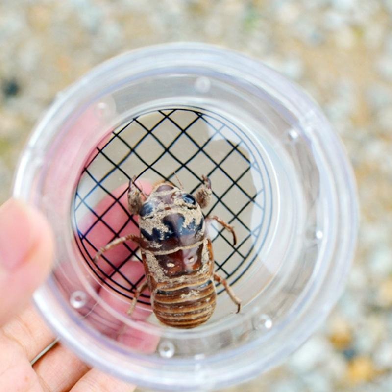 台灣極速出貨【昆蟲觀察盒 】 觀察 放大鏡 昆蟲觀察盒 科學家 觀察盒 昆蟲檢視盒 昆蟲收集盒 露營 野外 昆蟲盒-細節圖2