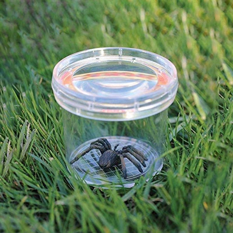 台灣極速出貨【昆蟲觀察盒 】 觀察 放大鏡 昆蟲觀察盒 科學家 觀察盒 昆蟲檢視盒 昆蟲收集盒 露營 野外 昆蟲盒-細節圖3