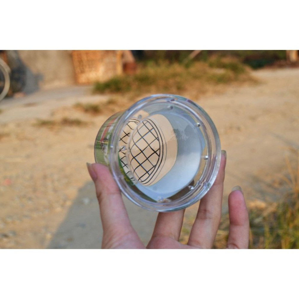 台灣極速出貨【昆蟲觀察盒 】 觀察 放大鏡 昆蟲觀察盒 科學家 觀察盒 昆蟲檢視盒 昆蟲收集盒 露營 野外 昆蟲盒-細節圖5