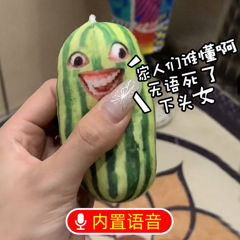 【ST🍓】會說話的西瓜 家人們誰懂阿! 無語死了! 按壓就會說話的吊飾 按了會說話 吊飾 西瓜 家人們 誰懂阿 鑰匙圈-細節圖2