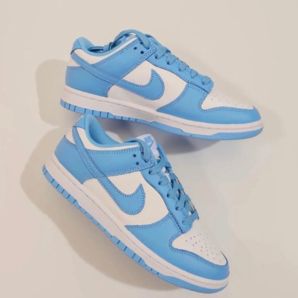 Nike Dunk Low 北卡藍 白藍 黑白熊貓 男女鞋 情侶鞋 DD1391-100 DD1391-102-細節圖4