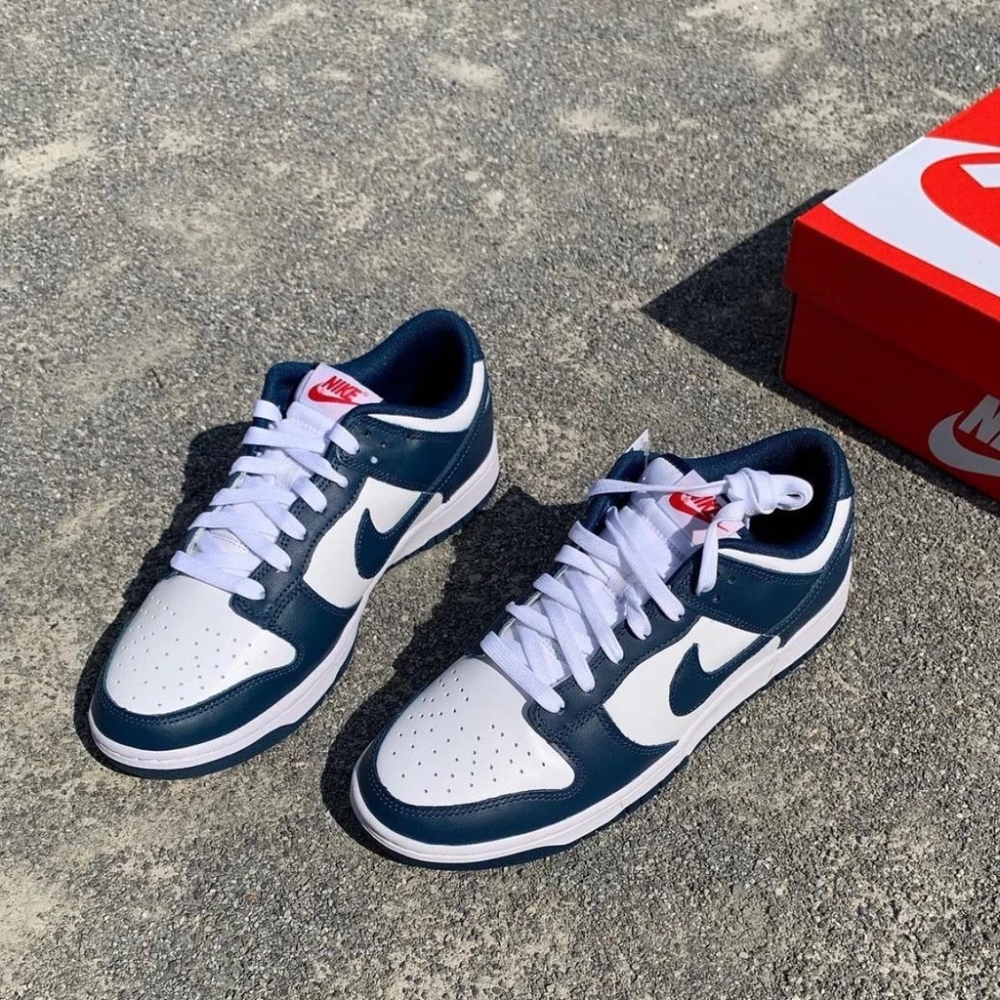 Nike Dunk Low Valerian Blue 白藏青 DD1391-400-細節圖4
