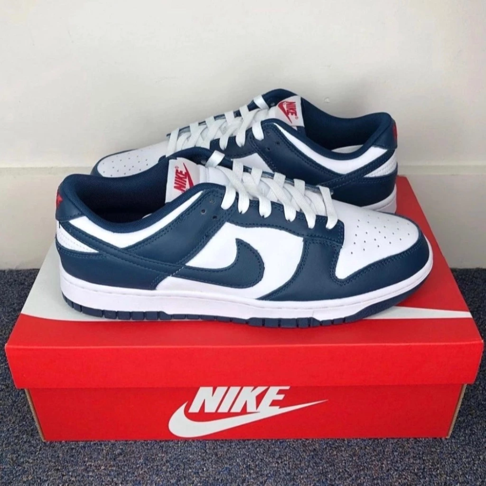 Nike Dunk Low Valerian Blue 白藏青 DD1391-400-細節圖5