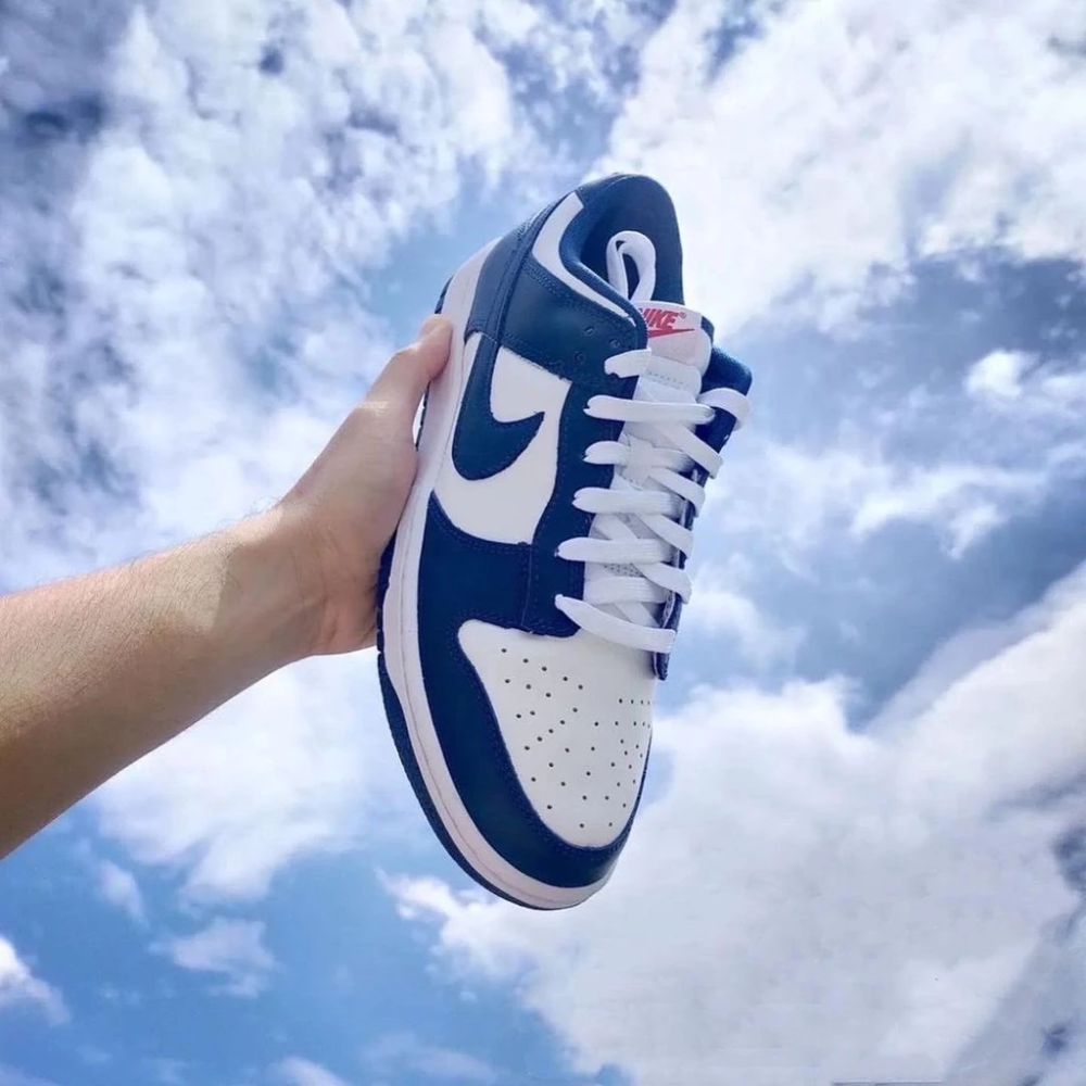 Nike Dunk Low Valerian Blue 白藏青 DD1391-400-細節圖8