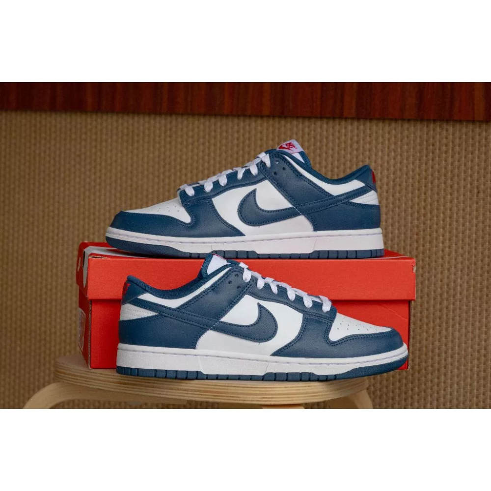 Nike Dunk Low ＂Valerian Blue＂ 海軍藍 藏青 DD1391-400-規格圖6