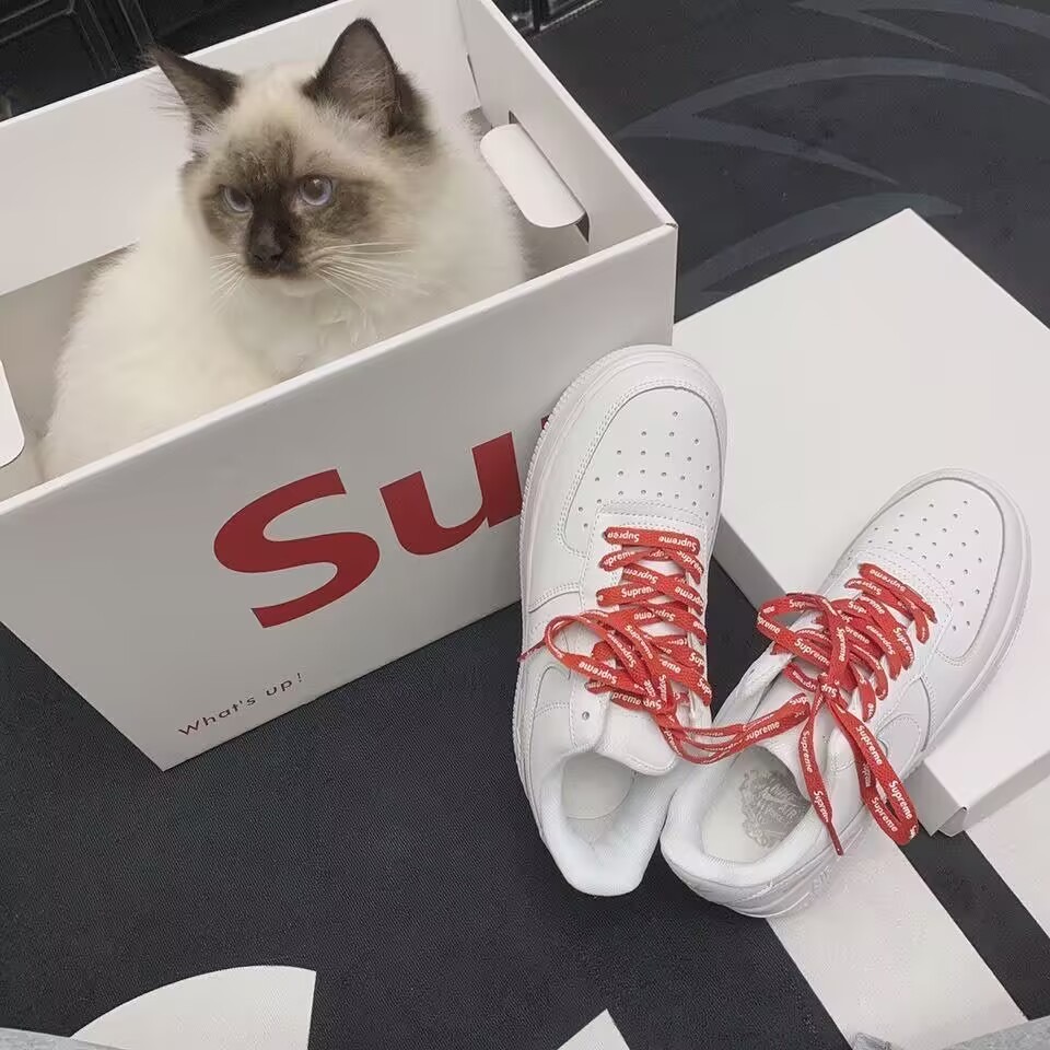 Supreme x Nike Air Force 1 聯名款 滿版 鞋帶 白 CU9225-100黑CU9225-001-細節圖8