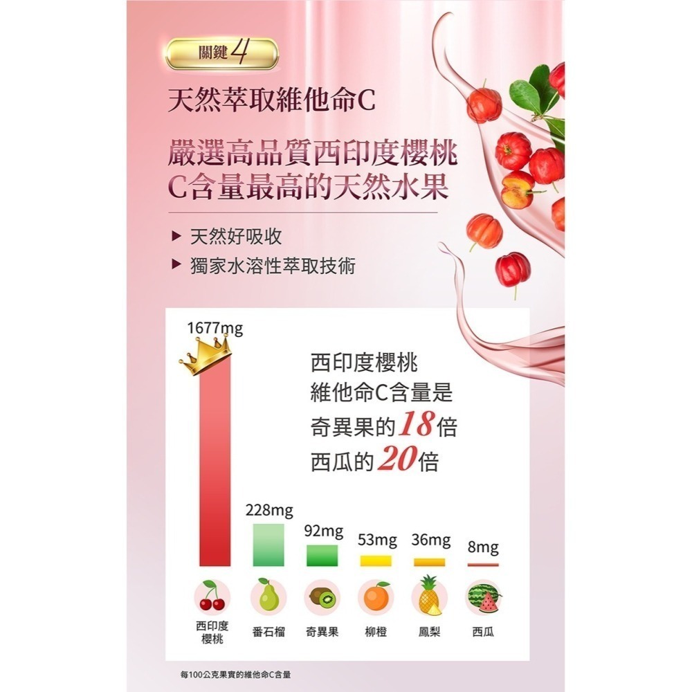 圓緣屋－－－NIPPI 膠原蛋白粉 蜂王乳 賽洛美 維生素C 玻尿酸 胜肽 膠原蛋白 美肌保健食品 養顏美容食品-細節圖4