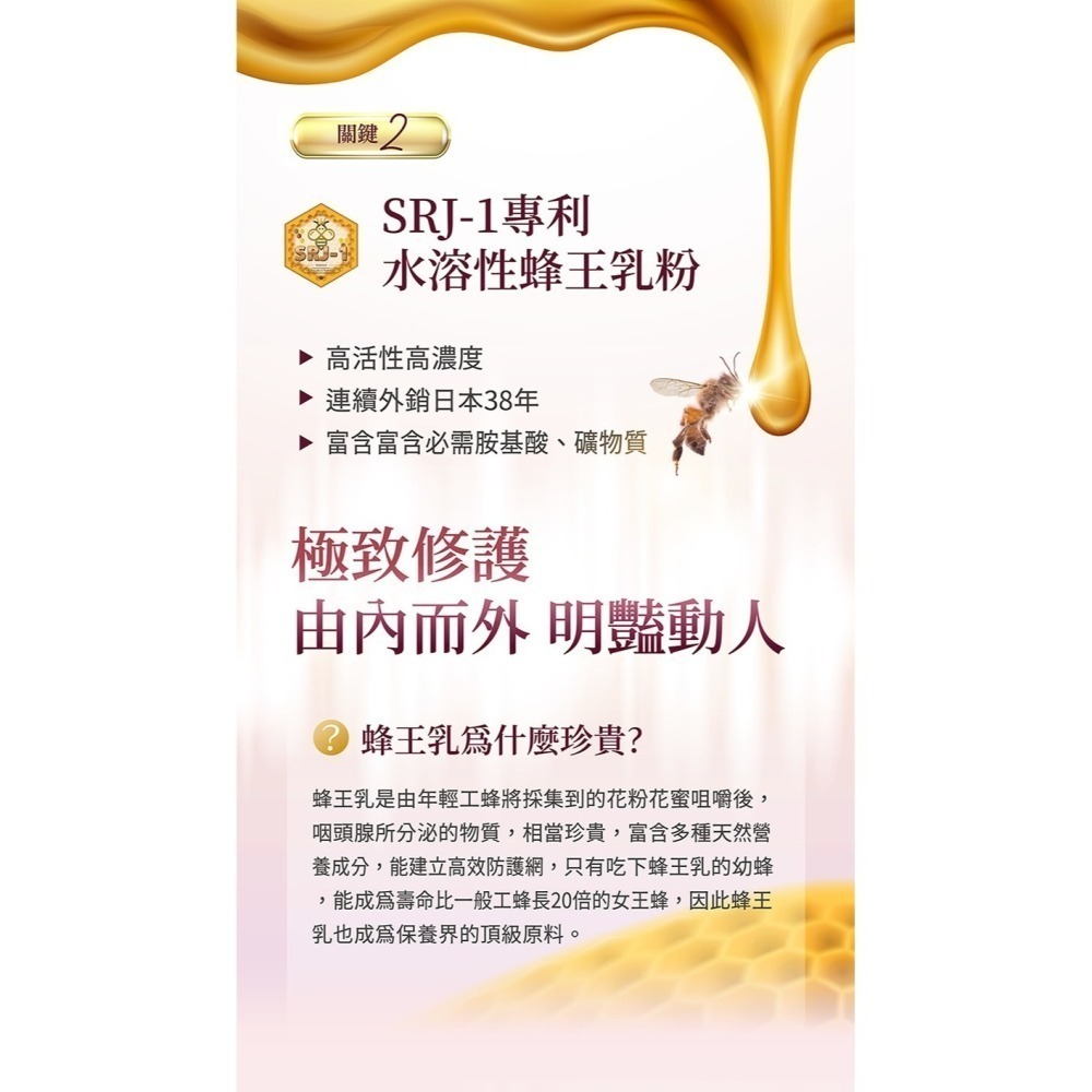 圓緣屋－－－NIPPI 膠原蛋白粉 蜂王乳 賽洛美 維生素C 玻尿酸 胜肽 膠原蛋白 美肌保健食品 養顏美容食品-細節圖6