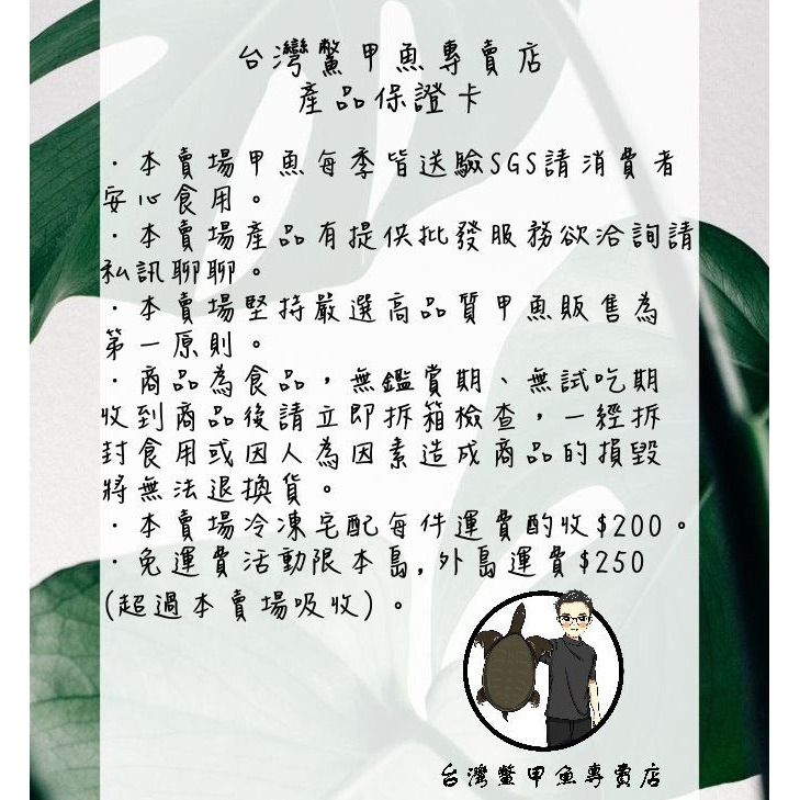 全台獨家販售 贈304不鏽鋼鍋 【台灣鱉】【藥膳雞仔豬肚鱉加大版4000公克】約6-8人份 四季涼補-細節圖2