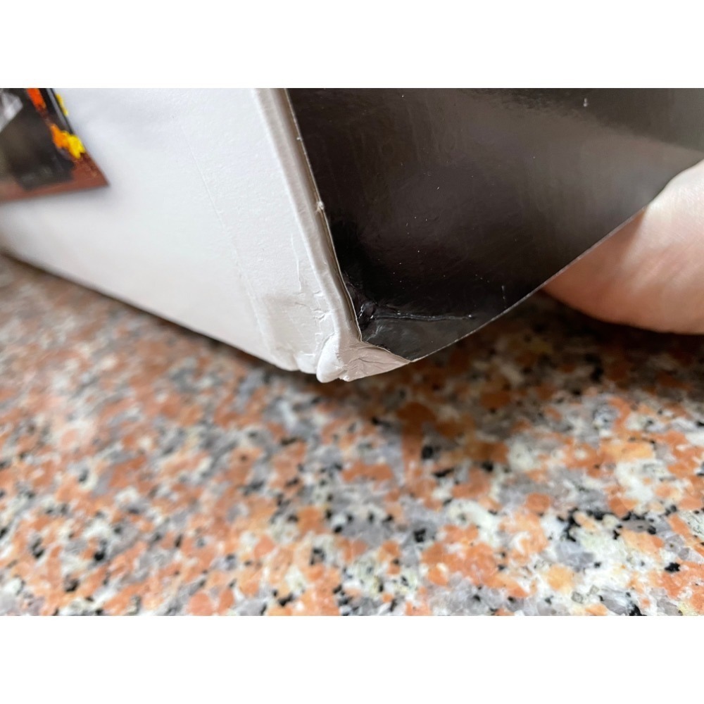 樂高 910049 bricklink 特蘭西瓦尼亞的冒險 吸血鬼城堡-細節圖5