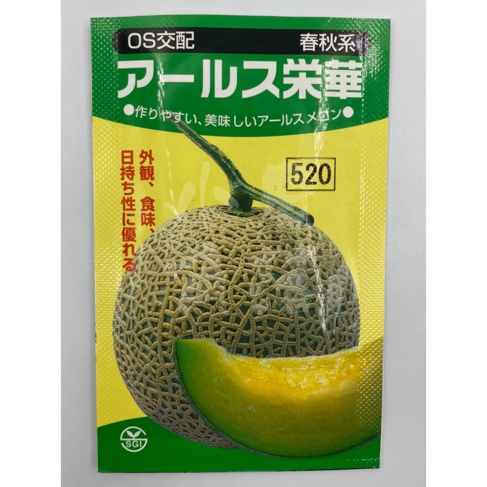 【現貨。不用再問】日本埼玉縣 阿露斯哈密瓜種子 (1粒15元) 夾鏈袋裝 阿露絲 哈蜜瓜 甜瓜 網紋洋香瓜 網紋瓜-細節圖3