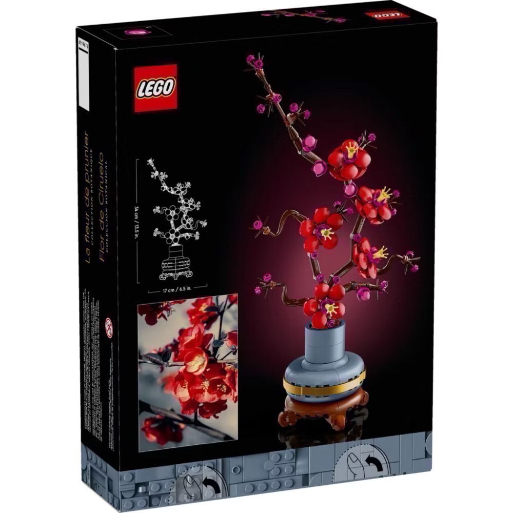 𝄪 樂麋 𝄪 LEGO 樂高 10368 菊花 10369 梅花 10343 迷你蘭 10344 富貴竹 梅蘭竹菊-細節圖3