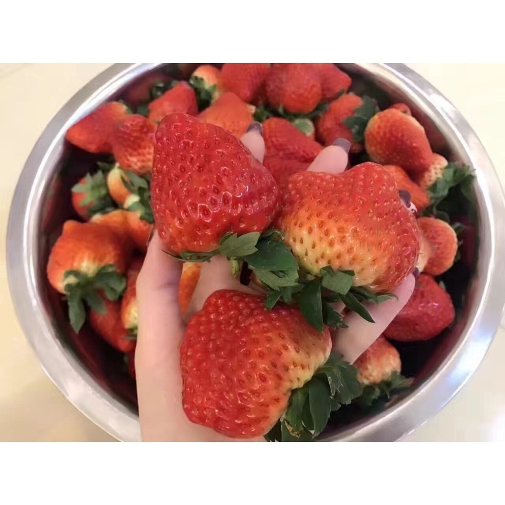 U&Me-冬季限定1號果草莓鐵盒千層蛋糕4吋-細節圖6