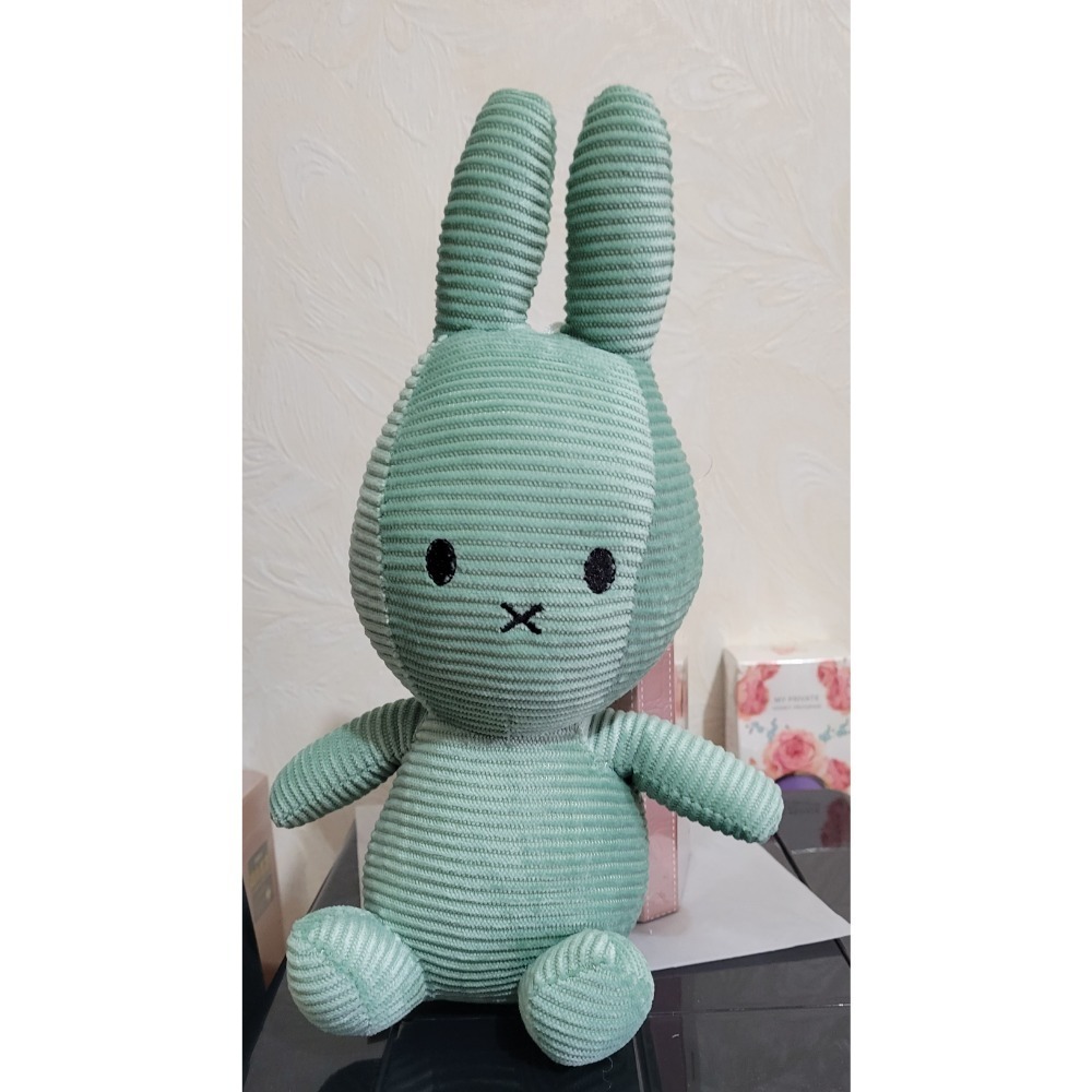 現貨！米飛兔 兔子娃娃 可愛兔子-細節圖4