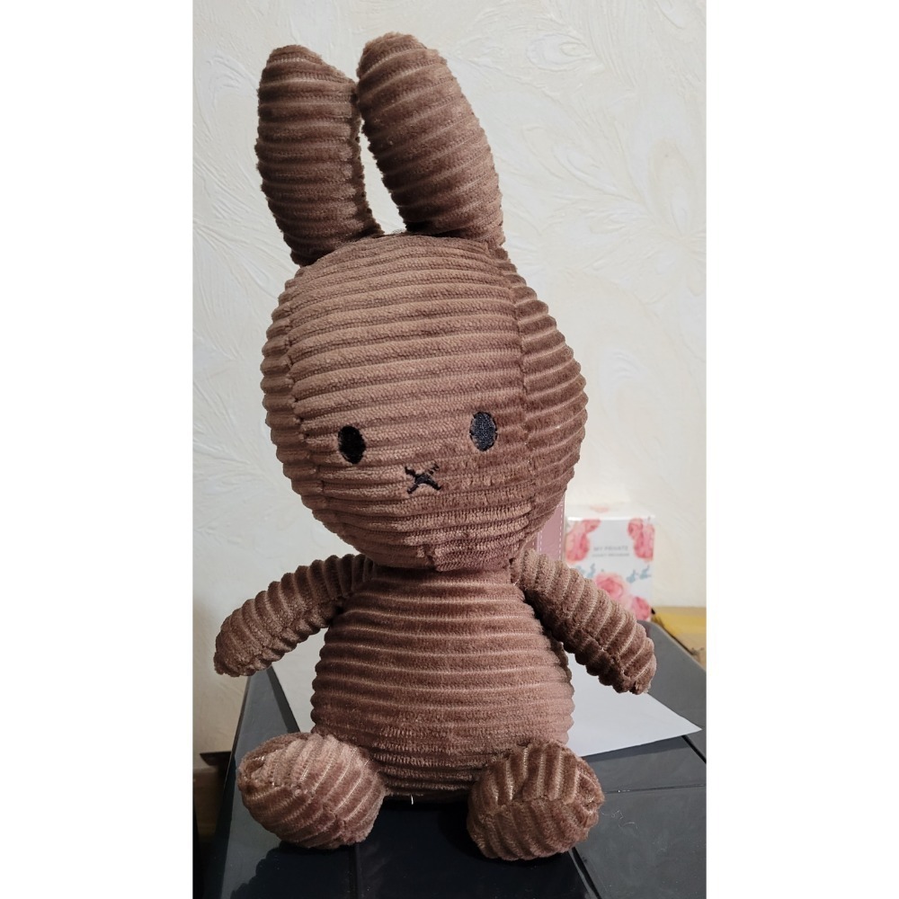 現貨！米飛兔 兔子娃娃 可愛兔子-細節圖5