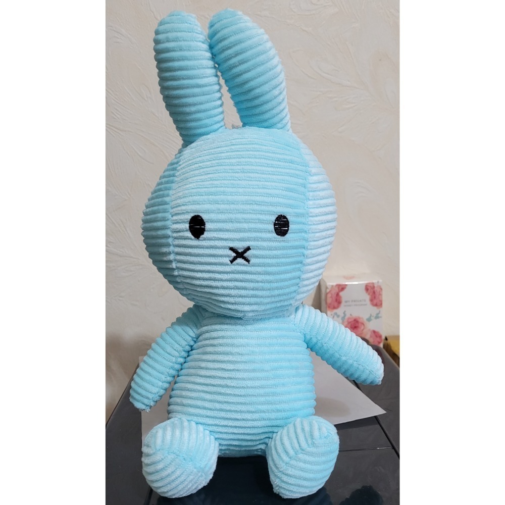 現貨！米飛兔 兔子娃娃 可愛兔子-細節圖6