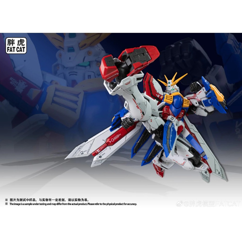 [VM模玩] 現貨 胖虎模型 第二彈 倍化系列 1/100 RG 阿神 神 組合模型-細節圖3