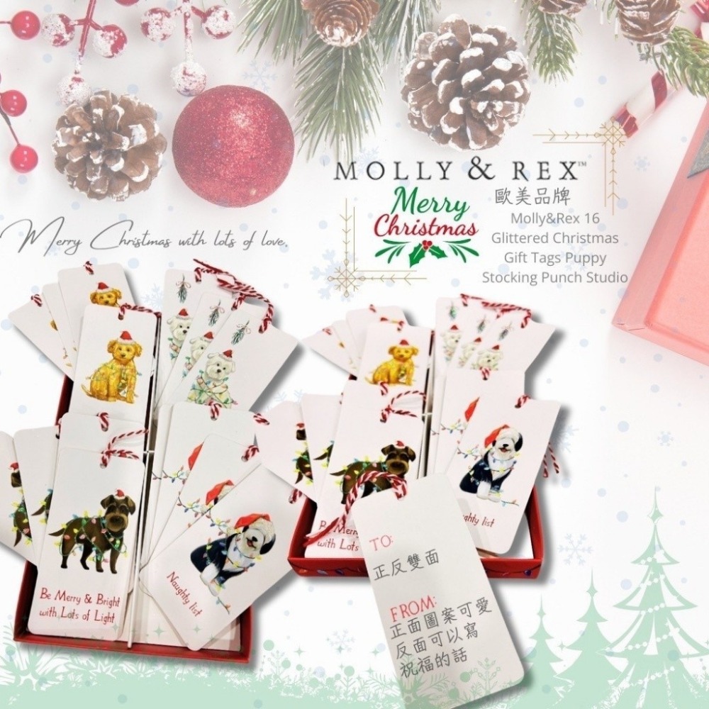 義大利MOLLY & REX聖誕派對許願祝福標籤小掛卡禮盒-細節圖5