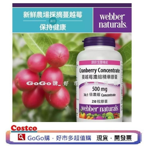 現貨 Costco好市多 webber cranberry 高單位蔓越莓濃縮精華膠囊 蔓越莓錠 250粒