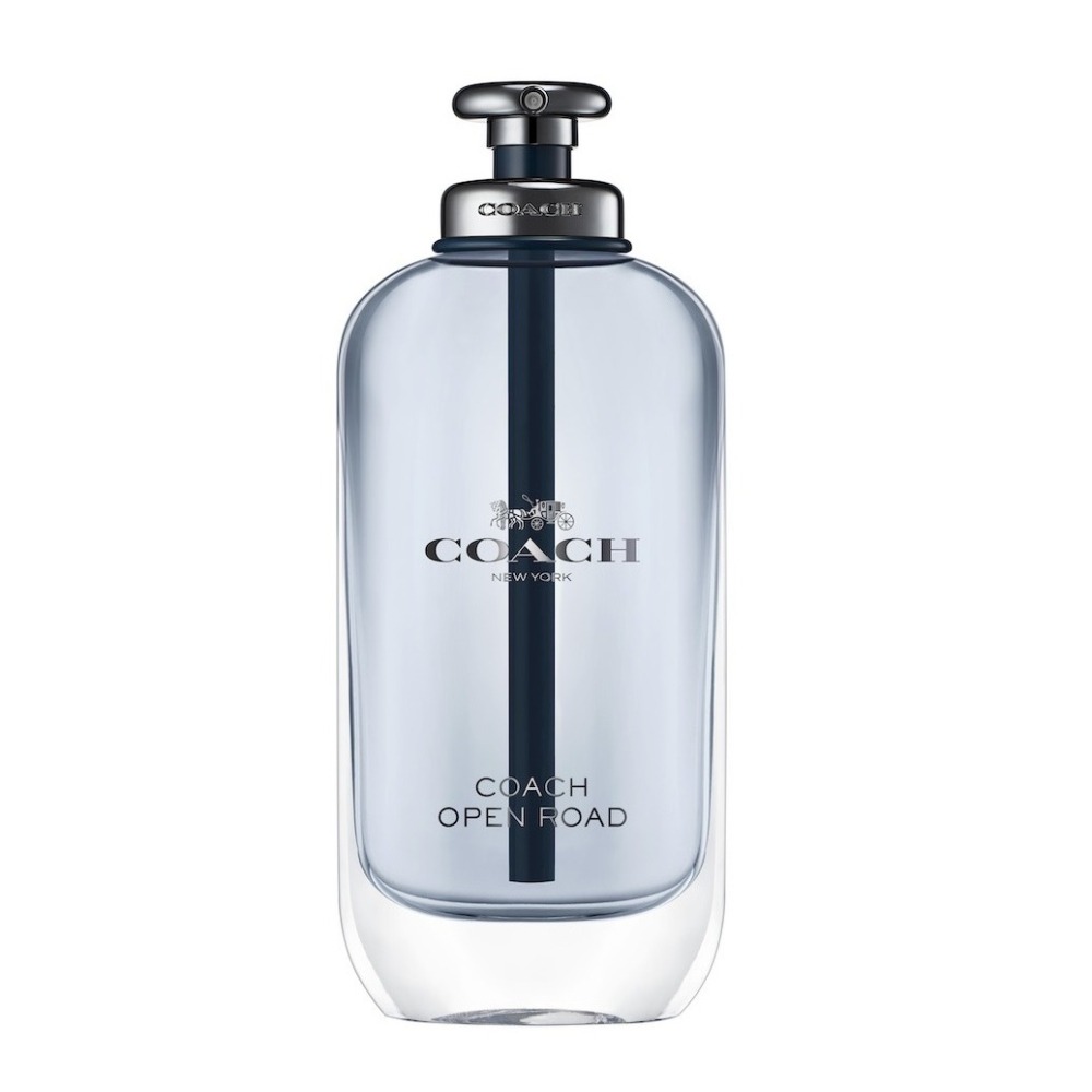 【超激敗】Coach 加州公路  男性淡香水 TESTER 100ML OPEN ROAD-細節圖2