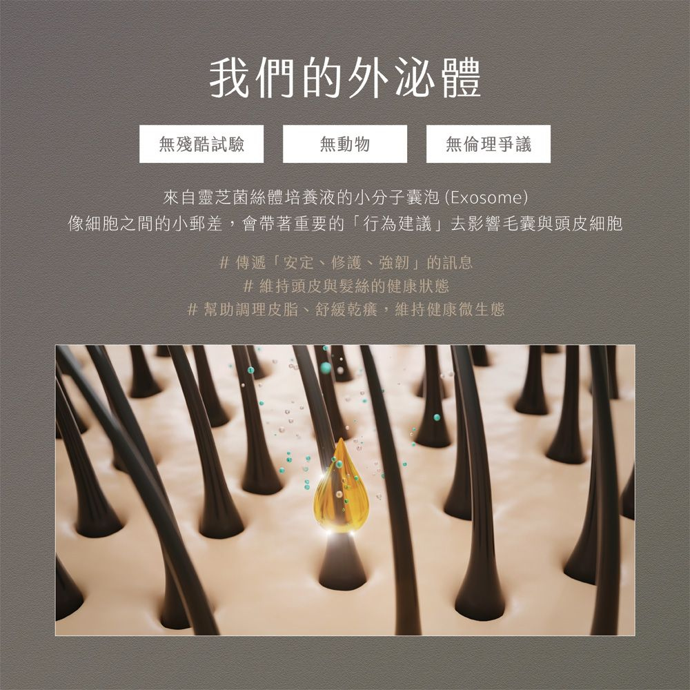 【養髮液強化髮根】BODY&FACE 外囊泡 藍銅胜肽 咖啡因 靈芝 30mL 頭皮精華-細節圖5