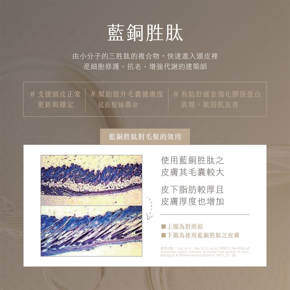 【養髮液強化髮根】BODY&FACE 外囊泡 藍銅胜肽 咖啡因 靈芝 30mL 頭皮精華-細節圖6