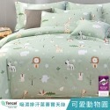 【艾唯家居】床包+枕套 單人加大 40支天絲™萊賽爾(單人床包+1枕頭套) 雙人 加大 特大 床單 床包組 台灣製-規格圖11