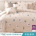 【艾唯家居】兩用被床包組 單人加大 40支天絲™萊賽爾(單人床包+兩用被+1枕頭套) 雙人 加大 床單 床包組 台灣製-規格圖11