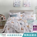 【艾唯家居】床包+枕套 雙人 40支天絲™萊賽爾(雙人床包+2枕頭套) 單人 加大 特大 床單 床包組 台灣製-規格圖11