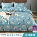 【艾唯家居】床包+枕套 雙人 40支天絲™萊賽爾(雙人床包+2枕頭套) 單人 加大 特大 床單 床包組 台灣製-規格圖11