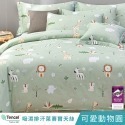【艾唯家居】床包+枕套 雙人 40支天絲™萊賽爾(雙人床包+2枕頭套) 單人 加大 特大 床單 床包組 台灣製-規格圖11